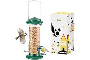 iBorn Mangiatoia in metallo per uccelli selvatici da appendere, per miscele di semi misti, mangiatoia per semi di Niger, cuore di girasole, vasca per uccelli, resistente, finitura verde interamente in