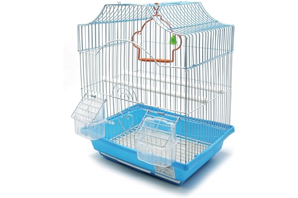 BPS Cage à Oiseaux Volière Perruche Canaris avec Mangeoire Abreuvoir Saut Perches pour Repos 30x23x39 cm Couleur Aléatoire BPS-1187