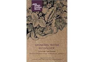 MAGIC GARDEN SEEDS Cavolo riccio 'Red Russian Kale' (Brassica oleracea convar. acephala var. sabellica) - circa 100 semi