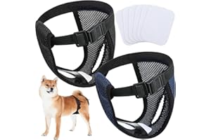 WEEWOODAY 2 Confezioni Pantaloni per Cani Pannolini per Cani con 6 Assorbenti Igienici Mutande Protettive Lavabili per Cani Femmine in Calore Sanguinamento Mensile, Nero e Blu (L)