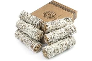 MUT22 6 Salvia Bianca Sacra da Bruciare, Erba di Purificazione e Armonia: Salvia Apiana 100% Naturale, Ideale per la Pulizia Spirituale e i Rituali Energetici