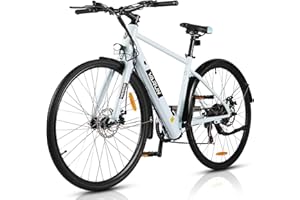 VARUN Bici Elettrica, 28'' Eicicletta Elettrica con Sensore di Coppia, Batteria da 36V 360Wh, Autonomia Massima Fino a 80 km, Bici Elettrica Uomo a 6 Velocità, Ebike Adatta al Pendolarismo Urbano