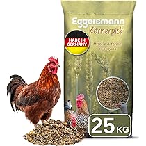 42 Igliore Angie Per Polli Nel 2024 - Foto 3