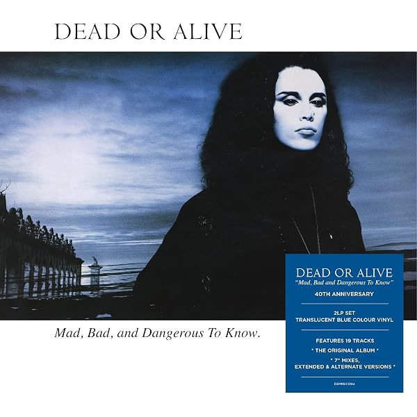 Dead Or Alive: Still Spinnin': The Singles Collection 1983-2021