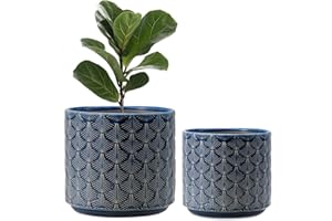 FairyLavie High-end Plant Pots, 16.5+14 CM Ceramic Pots Planters with Drainage Hole and Plastic Stopper, Flower Pots for Indoor Outdoor Plant, Great for Home Decor, Set of 2