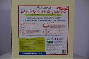 Arbres Et Avenir - Sève De Bouleau Lacto-Fermentée Boisson Bio Végétale, Détox 100% Naturelle, Cures Printemps, D’Hiver D'Automne , 3 L (Lot 1)