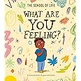 What Are You Feeling?: A picture book of your emotions