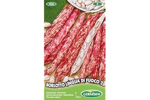 Germisem Borlloto Lingua di Fuoco 2 Graines de Haricot à Rames 100 g EC1206 Multicolore