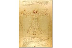 Giallobus - Cadre - Leonardo Da Vinci - Homme de Vitruve - Verre Acrylique - 50x70 - Prêt à accrocher - Peintures Modernes pour la Maison