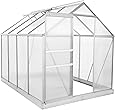 Zelsius Aluminium Gewächshaus für den Garten | inklusive Fundament | 250 x 190 cm | 6 mm Platten | Vielseitig nutzbar als Treibhaus, Tomatenhaus, Frühbeet und Pflanzenhaus