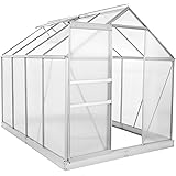 Zelsius Aluminium Gewächshaus für den Garten | inklusive Fundament | 250 x 190 cm | 6 mm Platten | Vielseitig nutzbar als Tre
