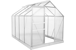 Zelsius Aluminium Gewächshaus mit Fundament 250 x 190 cm | 6 mm Hohlkammerplatten, UV-beständig, Winterfest | Treibhaus, Pflanzenhaus, Tomatenhaus, Frühbeet, Anbau Gewächshaus, Tomatengewächshaus