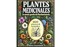 PLANTES MÉDICINALES - Le Savoir Perdu de l'HERBORISTERIE: + de 800 plantes et remèdes avec illustrations & mode d'emploi