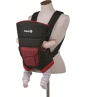 safety 1st carrier