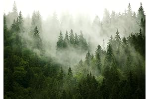 decomonkey Fototapete selbstklebend Wald 245x175 cm XL Selbstklebende Tapeten Wand Fototapeten Tapete Wandtapete klebend Klebefolie Tiere