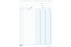 EDIPRO Taf Toys - E3336BL - 100 schede dare/avere/saldo blu f.to 21x15