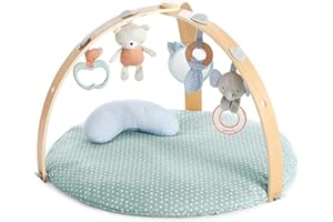 Ingenuity, Gimnasio de Actividades Reversible Cozy Spot Loamy, manta de suelo acolchada, arco de juego de madera, 5 juguetes extraíbles, diseño neutro, lavable a máquina, 1 Unidad (Paquete de 1)