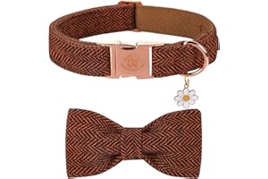 Elegant little tail Halloween Hundehalsband mit Schleife – Herringbone Orange Hundehalsband Schleife Langlebiges Fliege-Halsband Haustier-Hundehalsband für X-Small Hunde