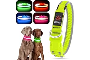 Rechargeable LED Puppy Collar, YFbrite LED Cat Collar, Comfortable Luminous Puppy Collars (Green, Large)