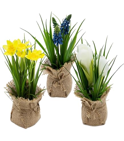 Papegaai - Kunstbloemen kopen? | Korting tot 18 Papegaai - Kunstbloemen kopen? | Korting tot 18