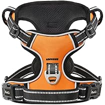 Collare Cane In Pelle HEELE - Imbottito Morbido, Regolabile - Taglie XS S M L - Nero