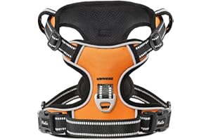 HEELE Arnés Reflectante para Perro, con Control de Mango Acolchado, 2 Anillos de Metal, arnés para Perros pequeños, medianos y Grandes, Naranja, L