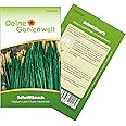 Schnittlauch Medium Leaf Samen - Allium schoenoprasum - Schnittlauchsamen - Kräutersamen - Saatgut für 300 Pflanzen