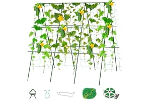 SUNYRISY Gurke Rankhilfe im Set, Pflanzenhalter für Gurke, Rankhilfen für Kletterpflanzen, Pflanzenstütze für Blumen & Nutzpflanzen, 120 cm Lang, Grün