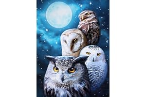 HKLIOPU Cross Stitch Kits for Adults-owl,11CT Printed Cross Stitch Kits,Stamped Embroidery Kits for Adults Wall Art Home Decoration 16x20 Inch (LZ135)