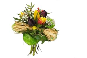 BLUMEN SENF-BLUMENVERSAND Blumenstrauß Tulpentraum + kostenloser Geschenkkarte Blumenversand