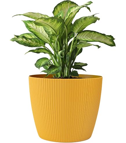 Pots De Fleurs Mats Avec Pieds – Lot De 2 – Diamètre 17 Cm – Blanc – Design Ovale Moderne