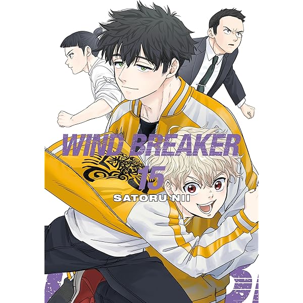 WIND BREAKER 18 eBook : Nii, Satoru, Nii, Satoru: Amazon.co