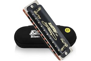 East Top 10 Holes Professional Blues Harmonica T008K Key of Bb Musical Instrument