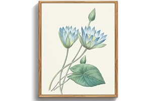 MHARTK66 Quadri Vintage Botanico Soggiorno con Cornice Legno, 30x40 cm Stampe da Parete Blu Loto Fiori Illustrazione, Quadro Camera da Letto Su Tela Decorazioni Parete Desktop Arte Bagno Ufficio