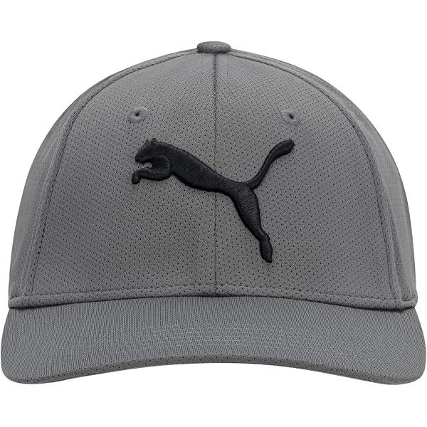 Ashen Fane 6-Panel Pro Mesh Baseball Cap - Low Profile, Adjustable Hook & Loop, One Size Fits Most