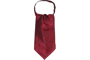 WANYING Uomo Cravatta Ascot, Fazzoletto da Collo, Retrò Chic per Signore - Paisley | A Pois | Floreale