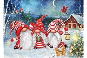 NAIMOER Kit per pittura a mosaico con gnomi per adulti, fai da te Full Drill 5D Diamond Art Christmas Flower Diamond Painting House Winter Diamond Painitng Kit per rilassarsi e decorare le pareti