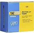 Tacwise 0383 Type 80 / 10 mm Galvanised Upholstery Staples, Pack of 10,000