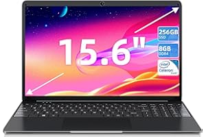 SGIN 15.6" Laptop, Computer with Intel Celeron J4105 (up to 2.5Ghz) 4 core processor, 8GB RAM 256GB SSD(TF512GB), HD Laptop, 2.4G+5G WiFi, BT 4.2, 2xUSB 3.2, Type-C, UK Keyboard Film