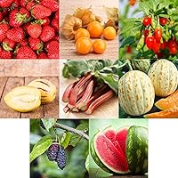 Prademir Obst Samen Set 8 Sorten Frucht Mix Obst Garten Saatgut Geschenke für kinder Hochbeet Balkon für Pflanzen