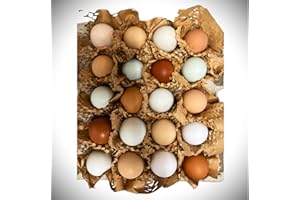 HOME FARM CORNWALL - LOVINGLY LOCAL Free to Range Hen Eggs (10)