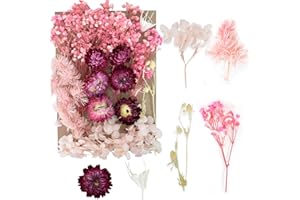 DISNACE Naturalne Suszone Kwiaty, Suszone Zachowane Kwiaty, Mieszane Suszone Kwiaty, Zestaw Suszone Kwiaty, Zestaw Suszone Kwiaty dla DIY Dekoracji Karty Album Przycinanie Świece Rzemiosło (Różowy)