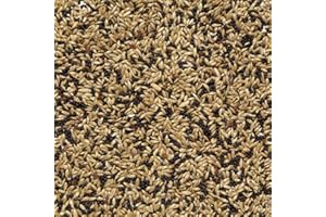 Il Contadino - Antichi Becchimi | MISCUGLIO per CANARINI | Formula Ricca di Semi Selezionati Adatta per Tutto L'Anno, No OGM, 100% Vegetale, Assenza di scarti. qualità Superiore (1 kg)