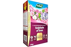 Westland 20600027 Sulphate of Iron Plant Food for Ericaceous Plants, 1.5 kg
