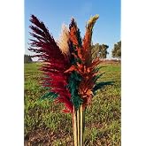 alyones 15'li Dekoratif Karışık 100cm Boyunda Pampas