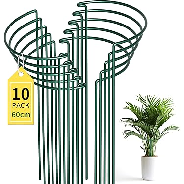 Hoidokly Lot De 100 Pinces Noires Pour Plantes Grimpantes, Support
