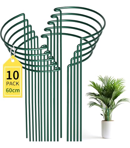 Pfingstrosen-Halterung Aus Metall – 30 Cm Durchmesser, Wetterfest, Als Stütze Für Schwere Blüten – Perfekt Für Pfingstrosen, Rosen & Hortensien