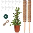 15 Pièces Tuteur Plante Interieur Piquets Tuteur Plante pour Plantes avec Attache Plante