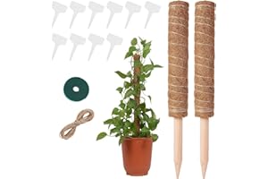 HEPODA 2 Pezzi Sostegno Monstera Supporto Piante 40cm Bastone per Piante Rampicanti Tutore Muschiato per Piante Totem Palo di Cocco Monstera Interno Giardino (40cm x2)