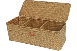 FEILANDUO Cesta de almacenamiento de 3 secciones con tapa, tejida a mano, pequeñas cestas de mimbre rectangular para organizar el escritorio (3 secciones naturales con tapa)